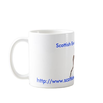 Scottish Exotic Reptile Forum Mug by markos1977