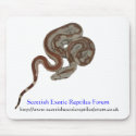 Scottish Exotic Reptiles Forum MouseMat mousepads