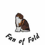 Scottish fold brown tabby and white