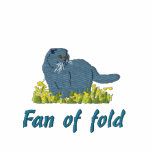 Scottish fold spring