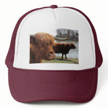 Scottish Highland Cattle ~ hat