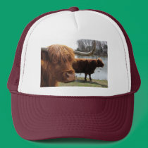 Scottish Highland Cattle ~ hat