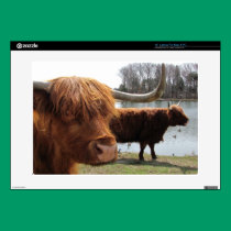 Scottish Highland Cattle ~ Laptop Skin skins