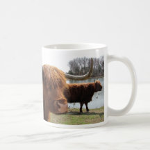 Scottish Highland Cattle ~ mug