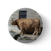 Scottish Highland Cattle Portrait buttons by thekingchivas Scottish Highland Cattle Portrait buttons