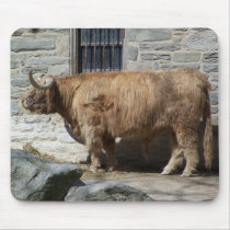 Scottish Highland Cattle Portrait mousepads by thekingchivas Scottish Highland Cattle Portrait mousepads