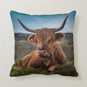 Scottish Highland Cow Longhorn Bull Rancher Pillows