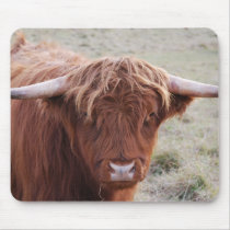 Scottish Highlander Cow mousepads by dlgray Scottish Highlander Cow mousepads