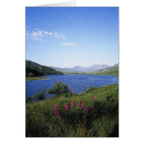 Scottish Loch cards