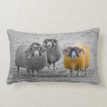 Scottish Rams Pillows