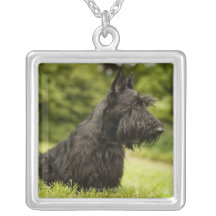 Scottish Terrier Custom Jewelry
