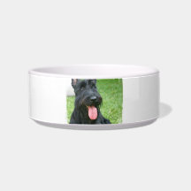 Scottish Terrier Dog Pet Bowl