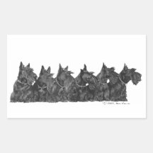 Scottish Terrier Gathering Rectangle Stickers