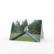 Scottish Terrier Greeting Card