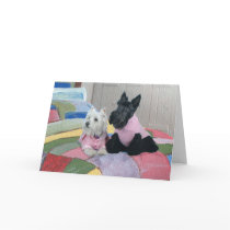 Scottish Terrier Greeting Card by MaggieRossScotties Scottish Terrier Greeting Card