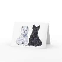 Scottish Terrier Greeting Card