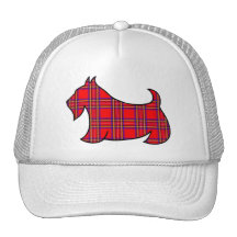 Scottish Terrier Hat