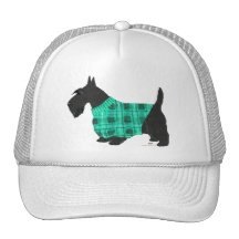 Scottish Terrier in a Sweater Mesh Hat