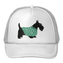 Scottish Terrier in a Sweater Mesh Hat