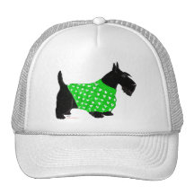 Scottish Terrier in a Sweater Trucker Hat