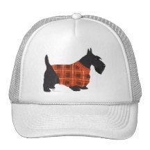 Scottish Terrier in a Sweater Trucker Hats