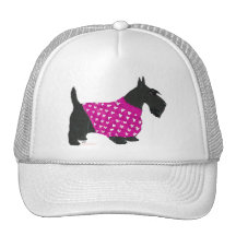 Scottish Terrier in a Sweater Trucker Hats
