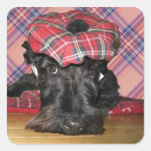 Scottish Terrier in a Tam-o-Shanter Square Sticker