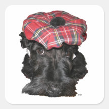 Scottish Terrier in a Tam-o-Shanter Sticker