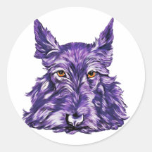 Scottish Terrier in Purple Round Stickers
