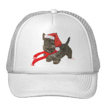 Scottish Terrier is Santa's Helper Hat