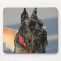 Scottish Terrier mousepad