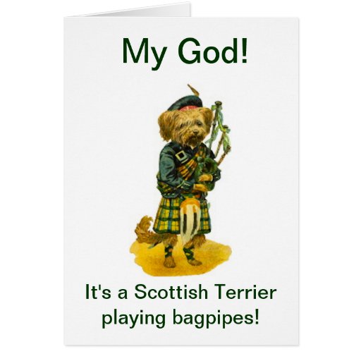 Scottish Terrier Playing Bagpipes Humor Birthday Card Zazzle