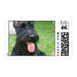 Scottish Terrier Postage Stamp stamps
