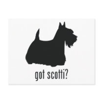 Scottish Terrier Post Card