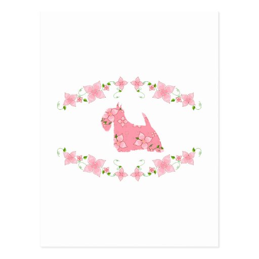 Scottish Terrier Postcard