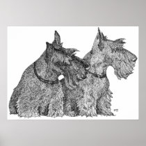Scottish Terrier Poster