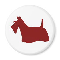 Scottish Terrier (Red) magnets