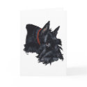 Scottish Terrier Resting cards