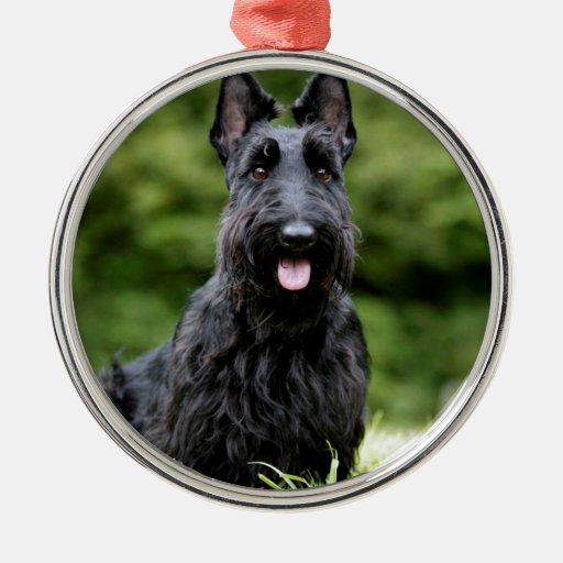 scottish terrier round metal christmas ornament zazzle scottish terrier round metal christmas ornament zazzle