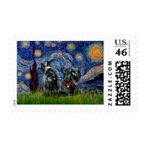 Scottish Terrier (two blk) - Starry Night Stamp