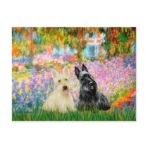 Scottish Terrier (two BW) - Garden postcards