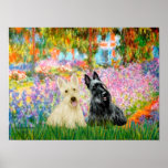 Scottish Terrier (two BW) - Garden Posters