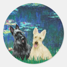 Scottish Terrier (two-BW) - Lilies 5 Sticker