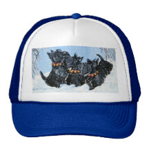 Scottish Terriers in the snow! Hat