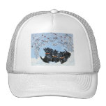Scottish Terriers in the snow! Hats