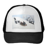 Scottish Terriers Sledding Mesh Hat