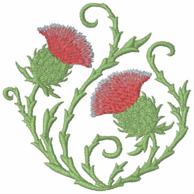 Scottish Thistle