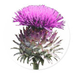 Scottish Thistle Stickers