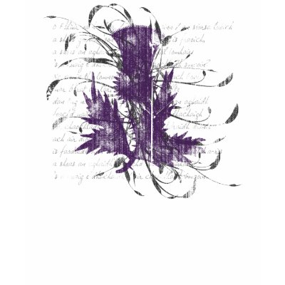 Scottish Thistle Women's Light Shirt by saundejm