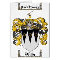 Scottish Young Coat of Arms Stein - Family Crest cards